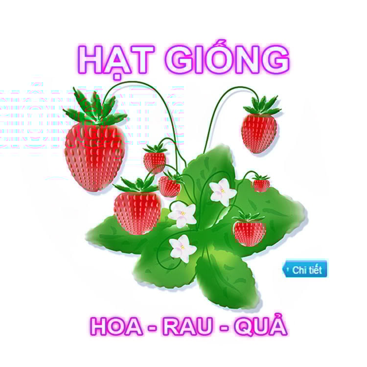 Hạt giống