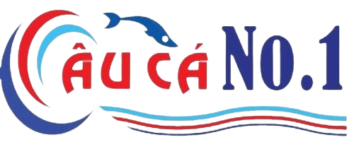Câu Cá No.1