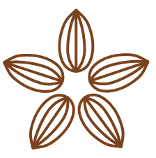 Cacao Intercontinental Corporation