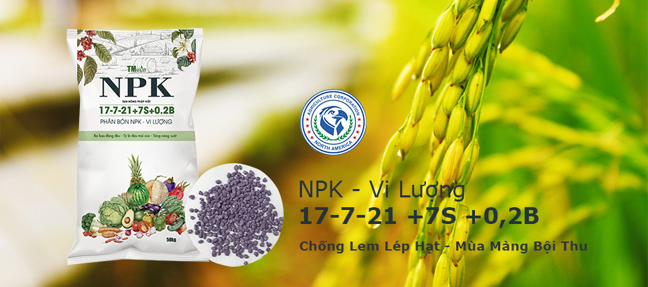 banner_slide_1 banner_slide_1