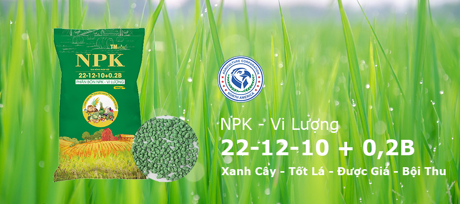 banner_slide_2 banner_slide_2