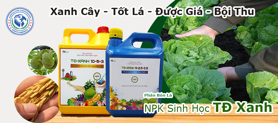 banner_slide_4 banner_slide_4