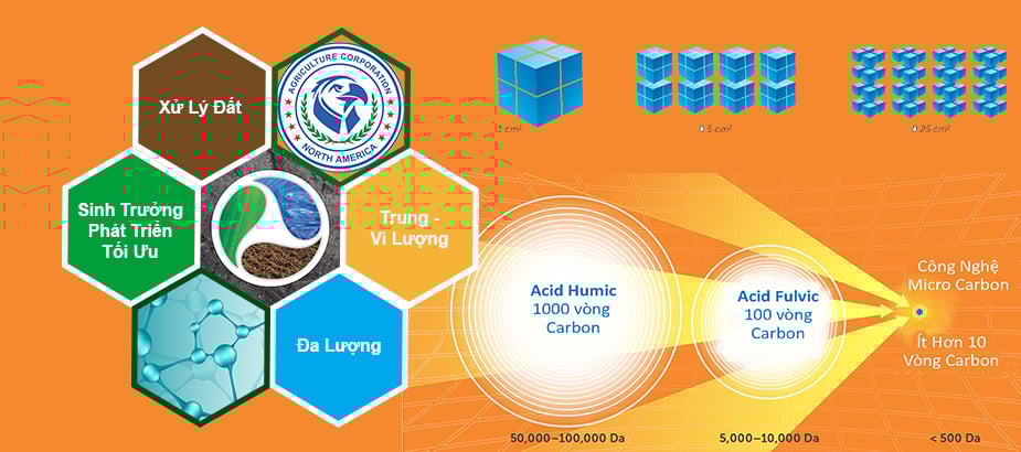 banner_slide_5 banner_slide_5