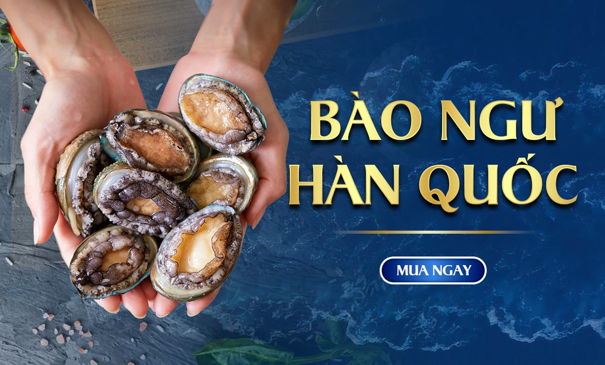 Bào ngư hàn quốc