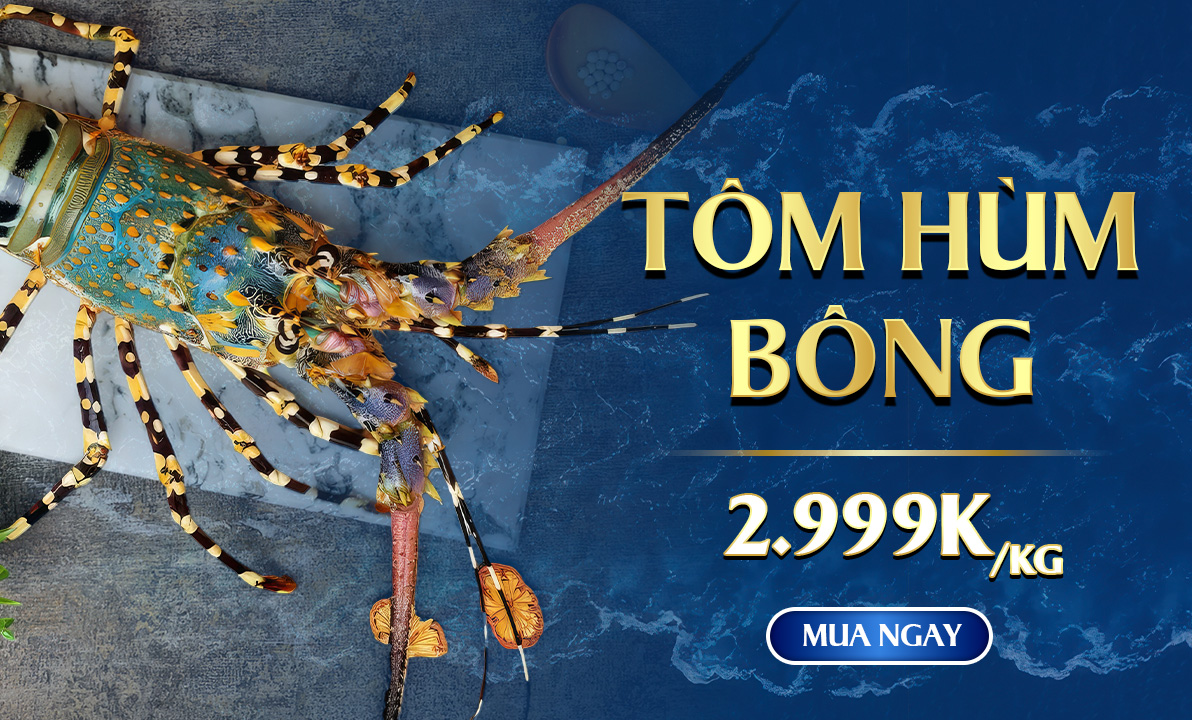 Tôm Hùm Bông