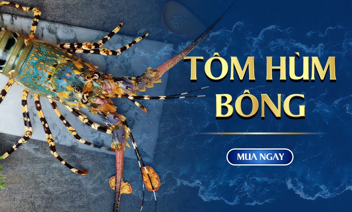 Tôm Hùm Bông
