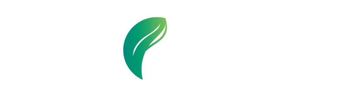 Chợ Tình Của Boo