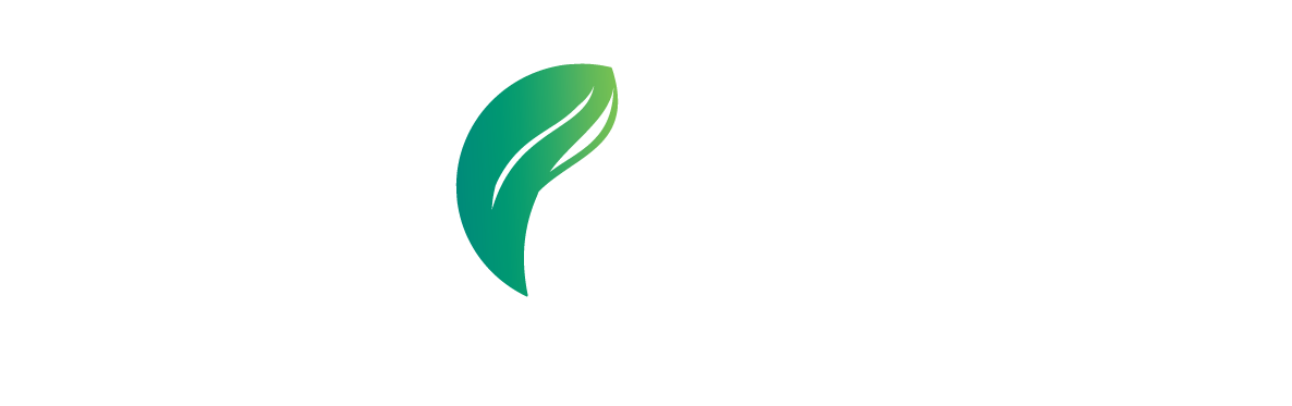 Chợ Tình Của Boo