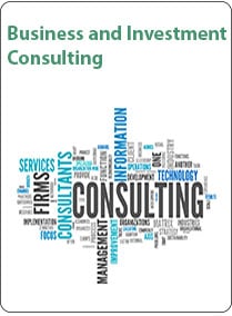 Business & Investment Consulting