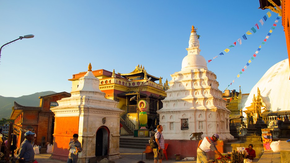 h_section_2_1_img_title