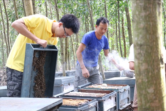 Ảnh về chúng tôi