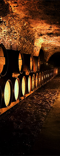 Home Module Banner 1