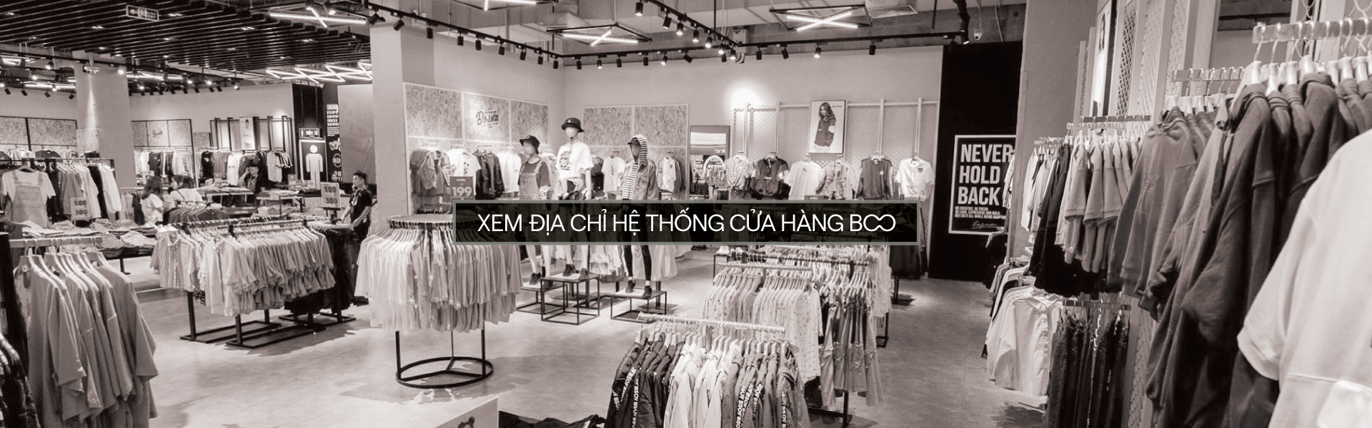 LP2010_hethongcuahang_image