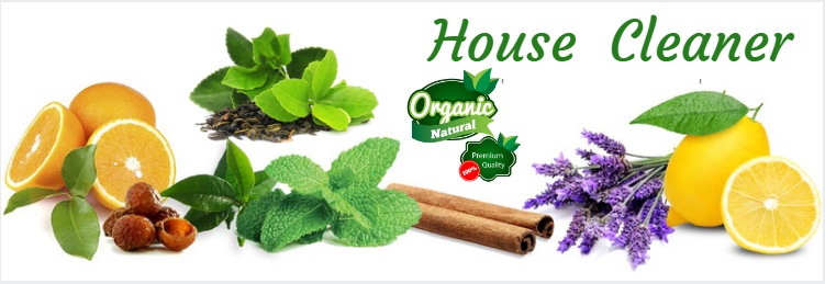 Làm sạch nhà cửa bằng chất tẩy rửa an toàn