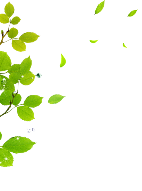 featured_corner_img