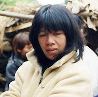 Đoàn Minh Phượng