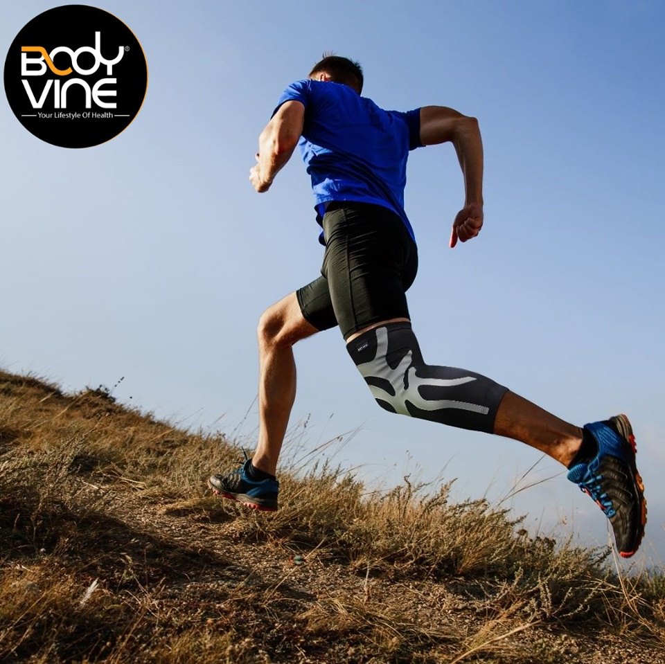 Giới Thiệu Về BODYVINE