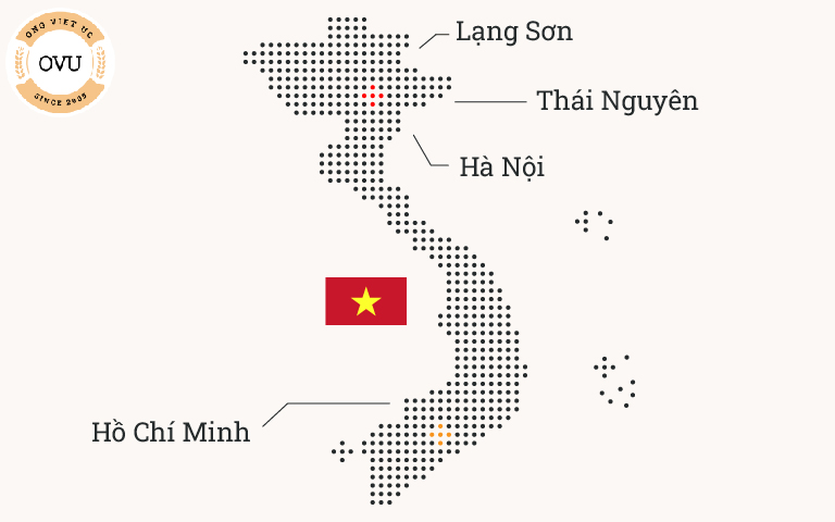 Hệ thống phân phối rộng khắp toàn quốc