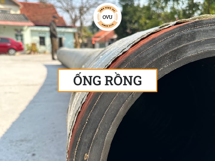 ỐNG RỒNG