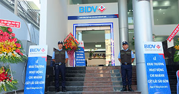 Bảo vệ mục tiêu cố định