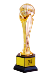 NHÀ PHÁT TRIỂN BẤT ĐỘNG SẢN TIÊU BIỂU VIỆT NAM 2017