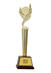 NHÀ PHÁT TRIỂN BẤT ĐỘNG SẢN TIÊU BIỂU VIỆT NAM 2017