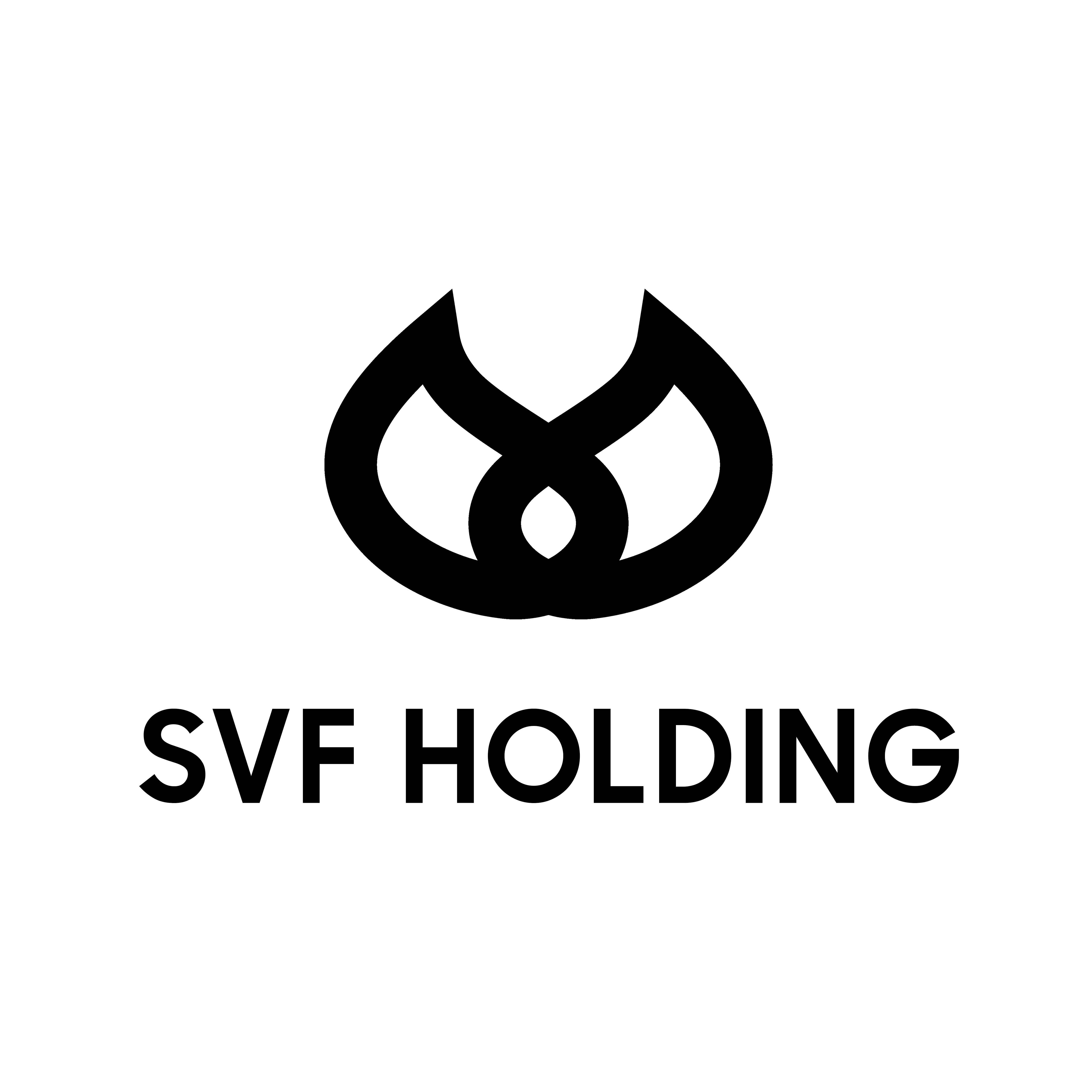 SVF_Holding