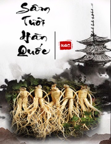 Ảnh tại sao bạn nên chọn chúng tôi
