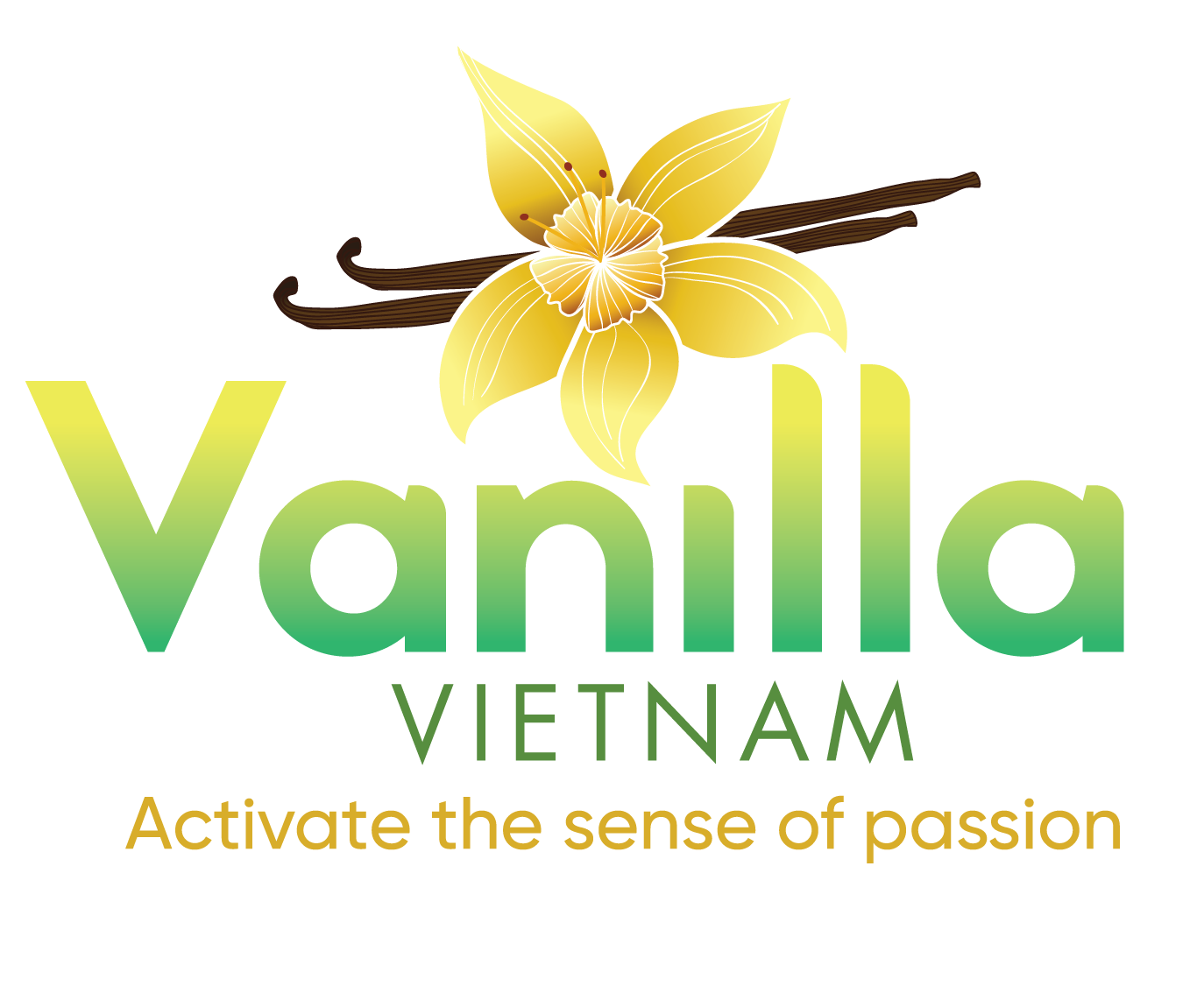 Vanilla Viet Nam