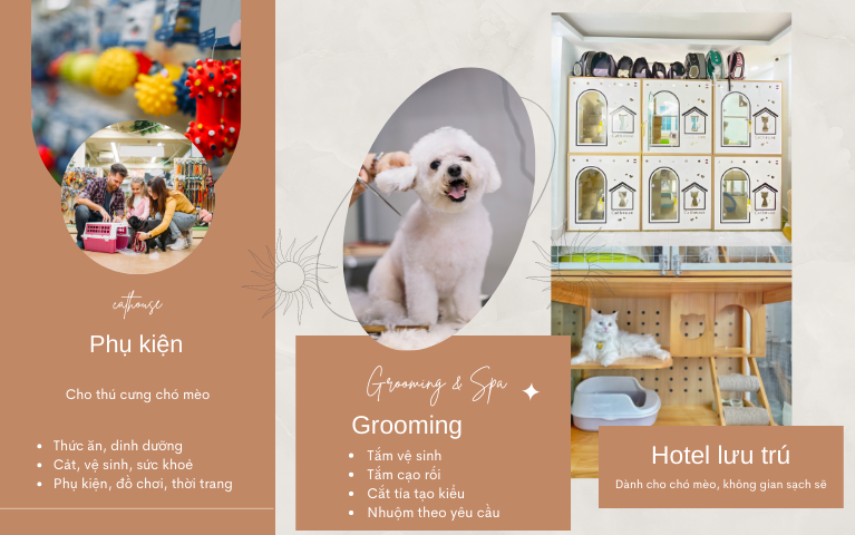 CÁC MẢNG KINH DOANH TẠI CATHOUSE