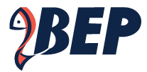 IBEP.VN