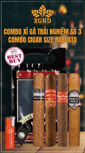 Shop Cigar Chính Hãng, Xì Gà Giá Rẻ TPHCM - Xì Gà Nghiệp Dư