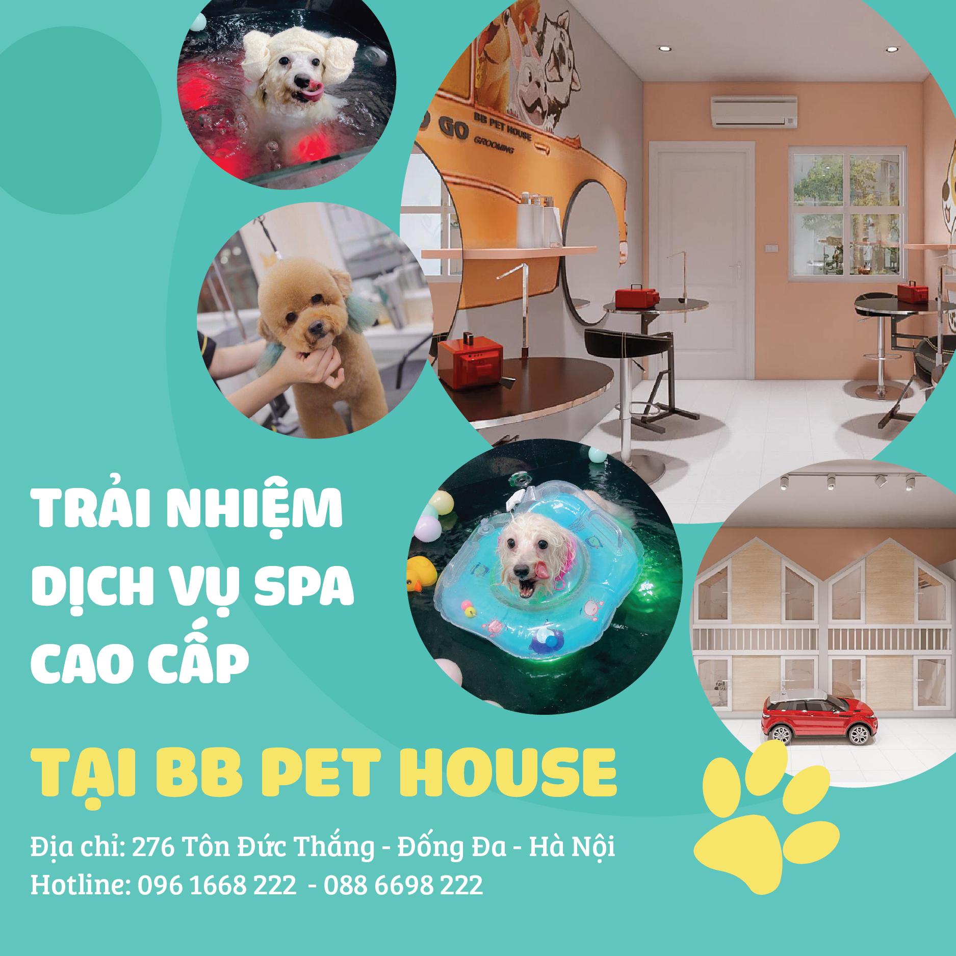 BB PET HOUSE
