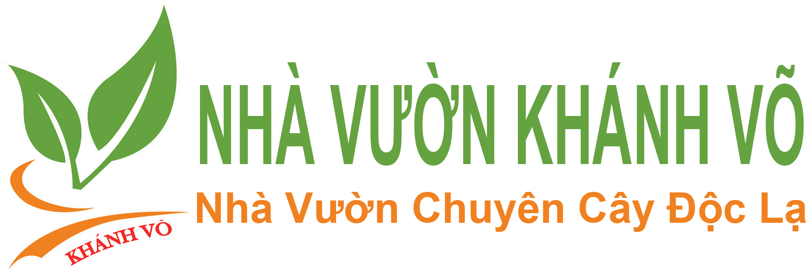 CÂY HOA CẢNH ĐẸP