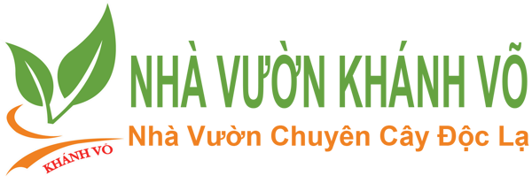 NHÀ VƯỜN KHÁNH VÕ - CÂY ĐỘC LẠ