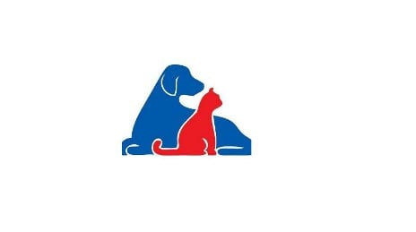 MSV