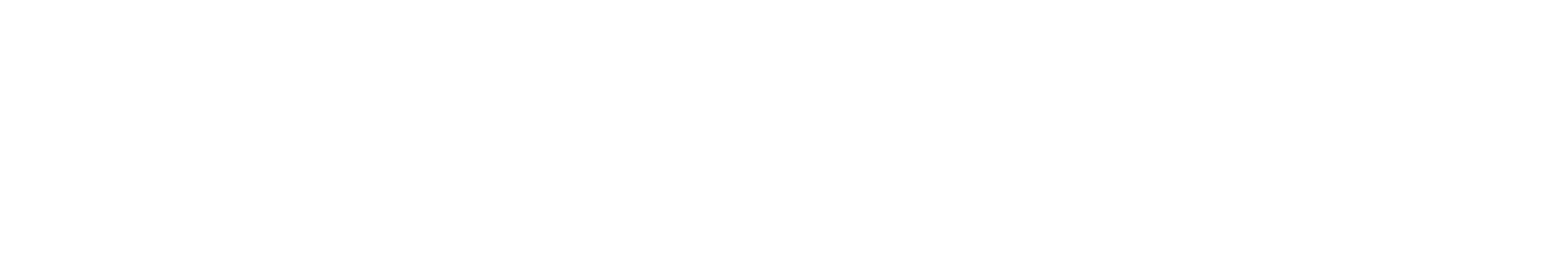 lady1vn