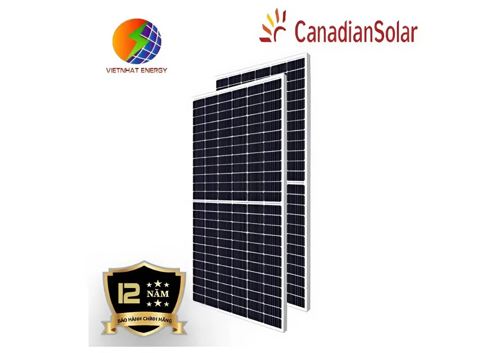 Sản phẩm Canadian