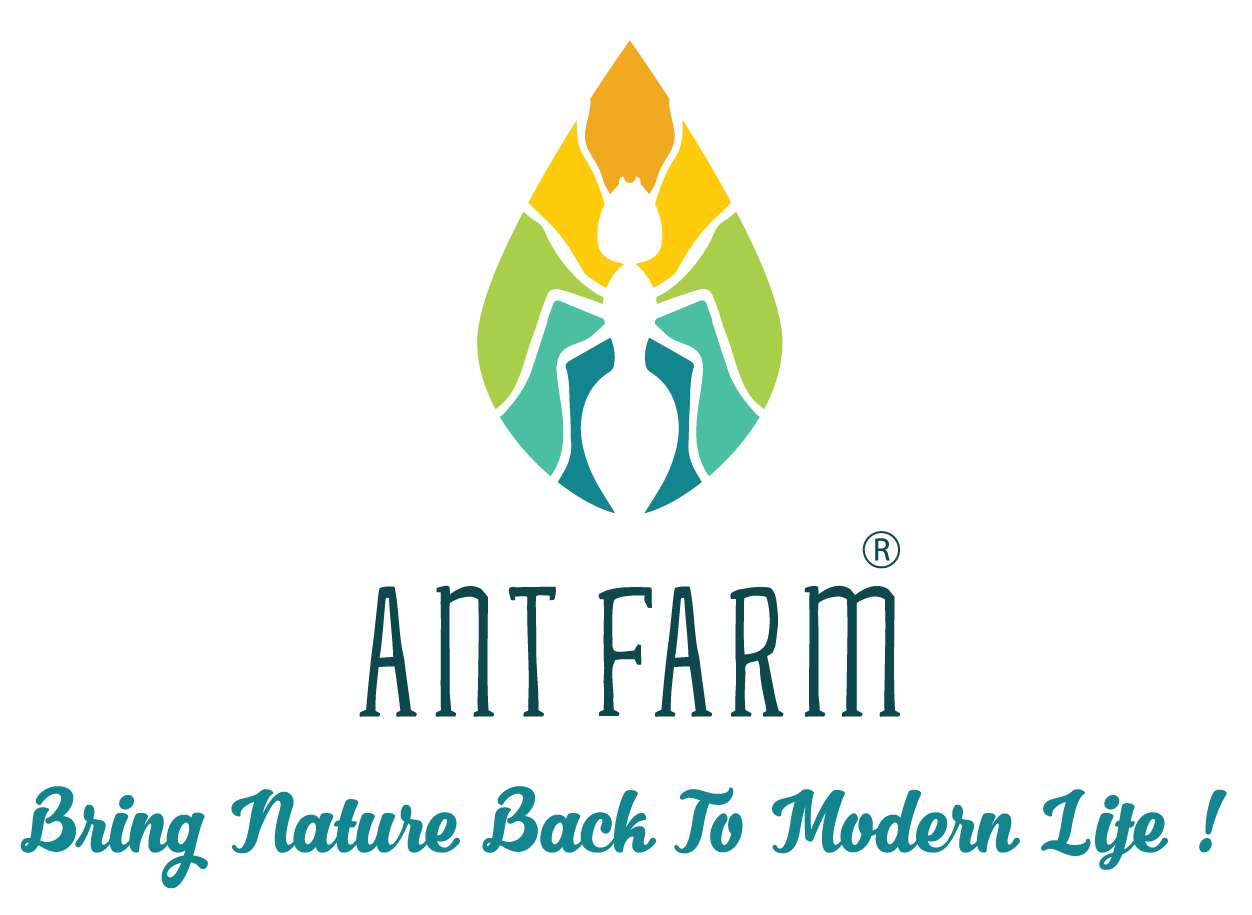 Ant Farm - Trái cây - Rau nhập khẩu - Nông sản Việt