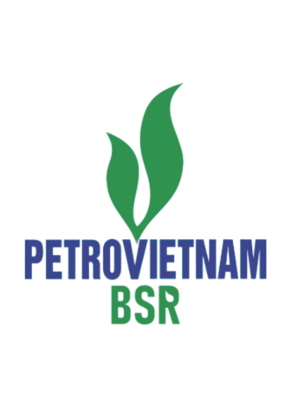 BINH SON REFINING AND PETROCHEMICAL JOINT STOCK COMPANY (BSR)