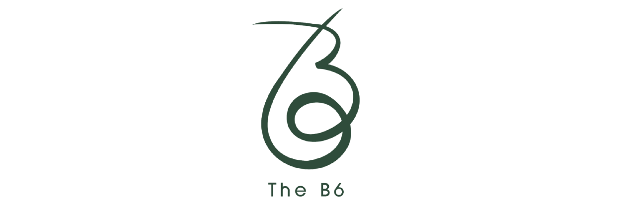 logo THEB6