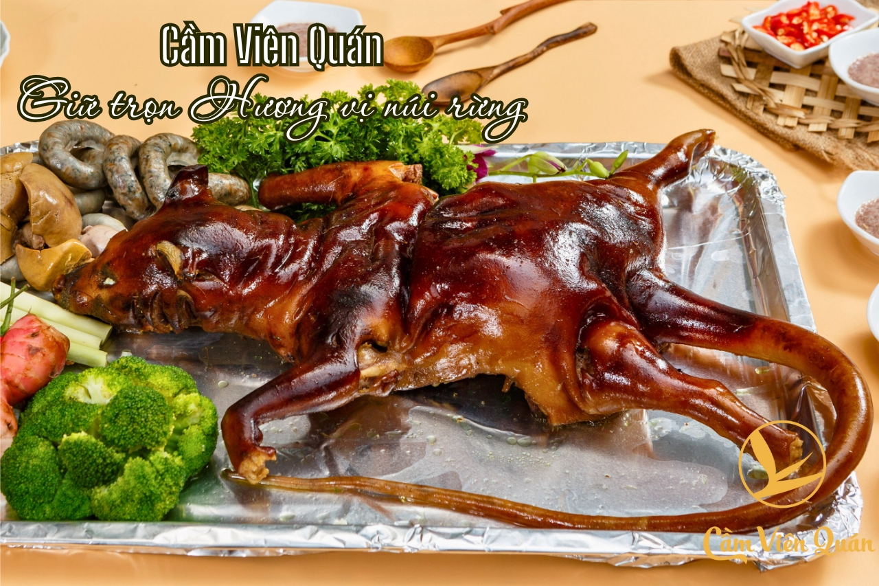 CẦM VIÊN QUÁN