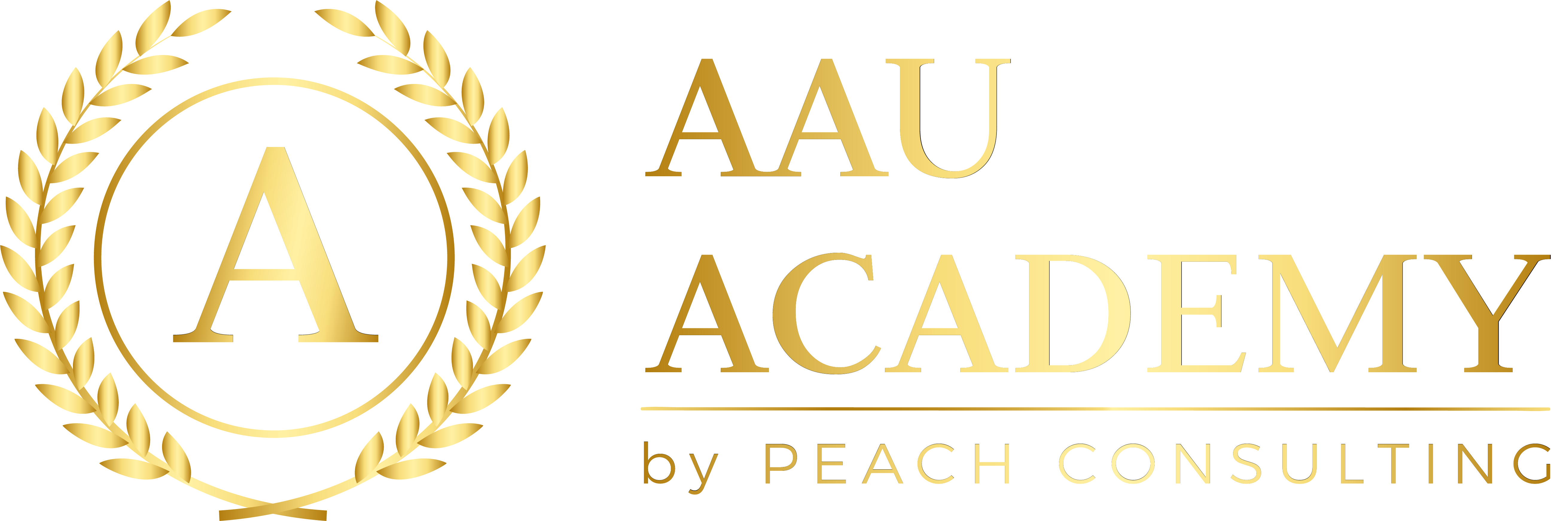 AAU Academy
