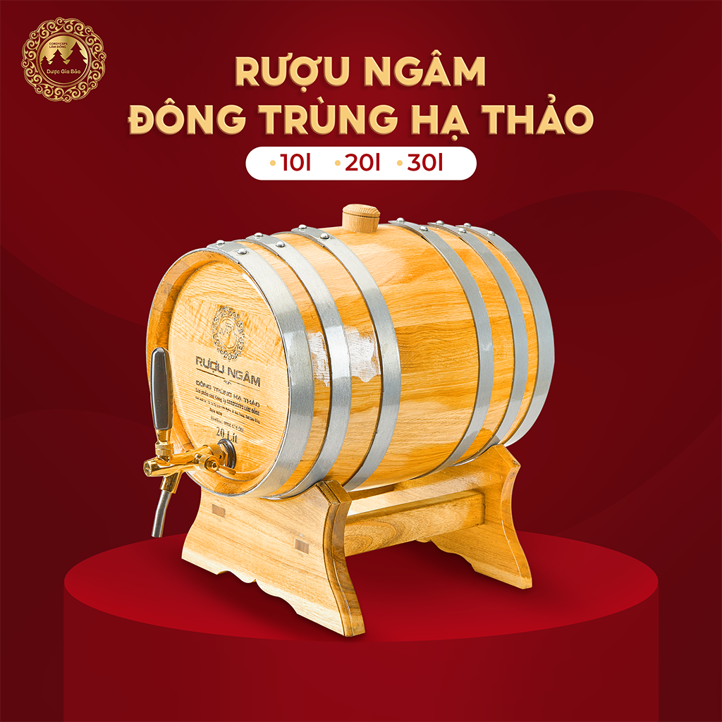 RƯỢU NGÂM ĐÔNG TRÙNG HẠ THẢO BÌNH SỒI