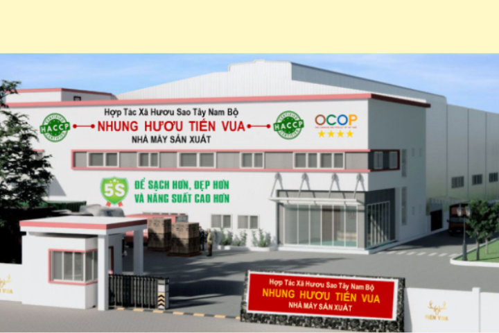 <br>NHÀ MÁY VÀ CHỨNG NHẬN</br>