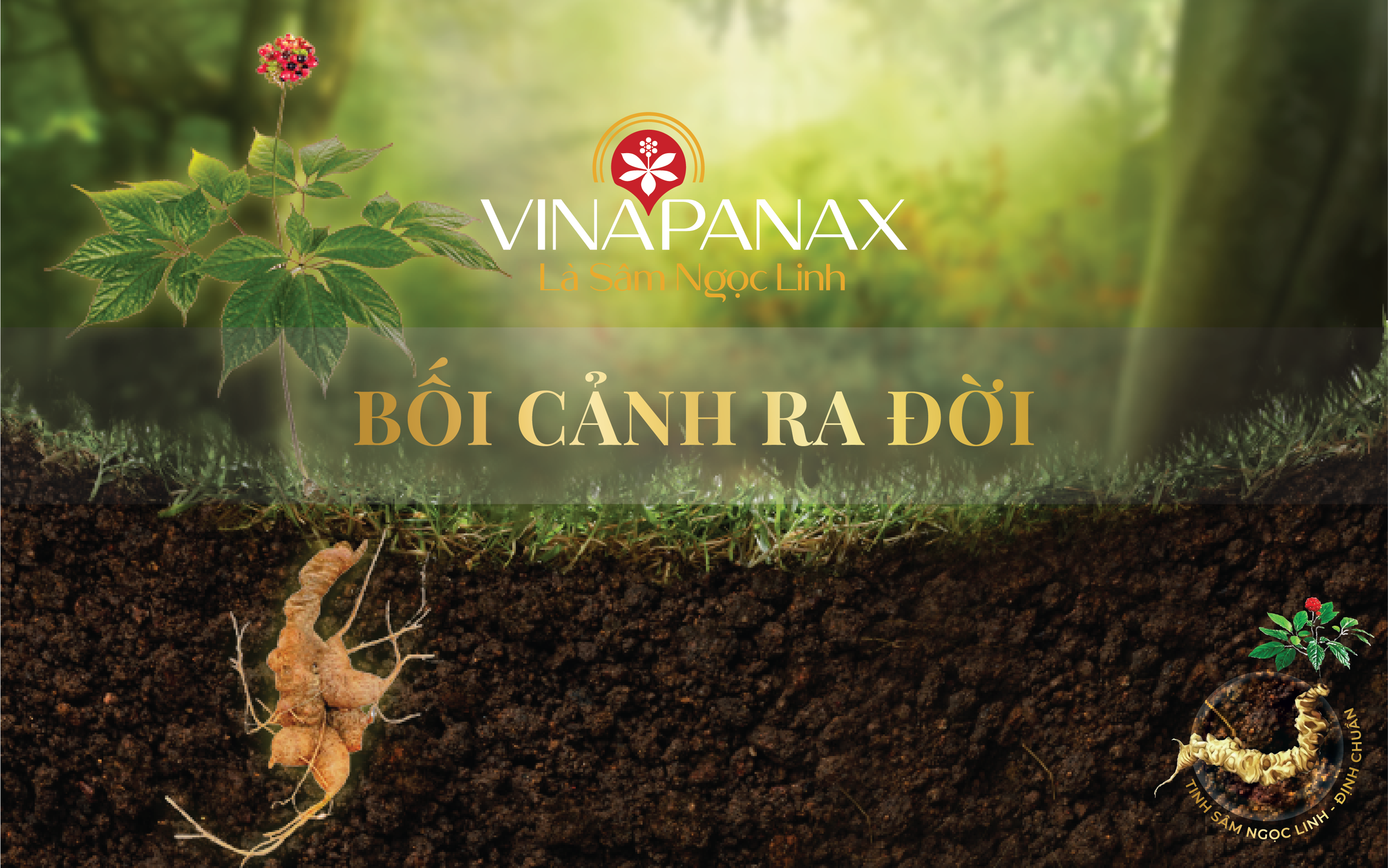 Bối cảnh ra đời