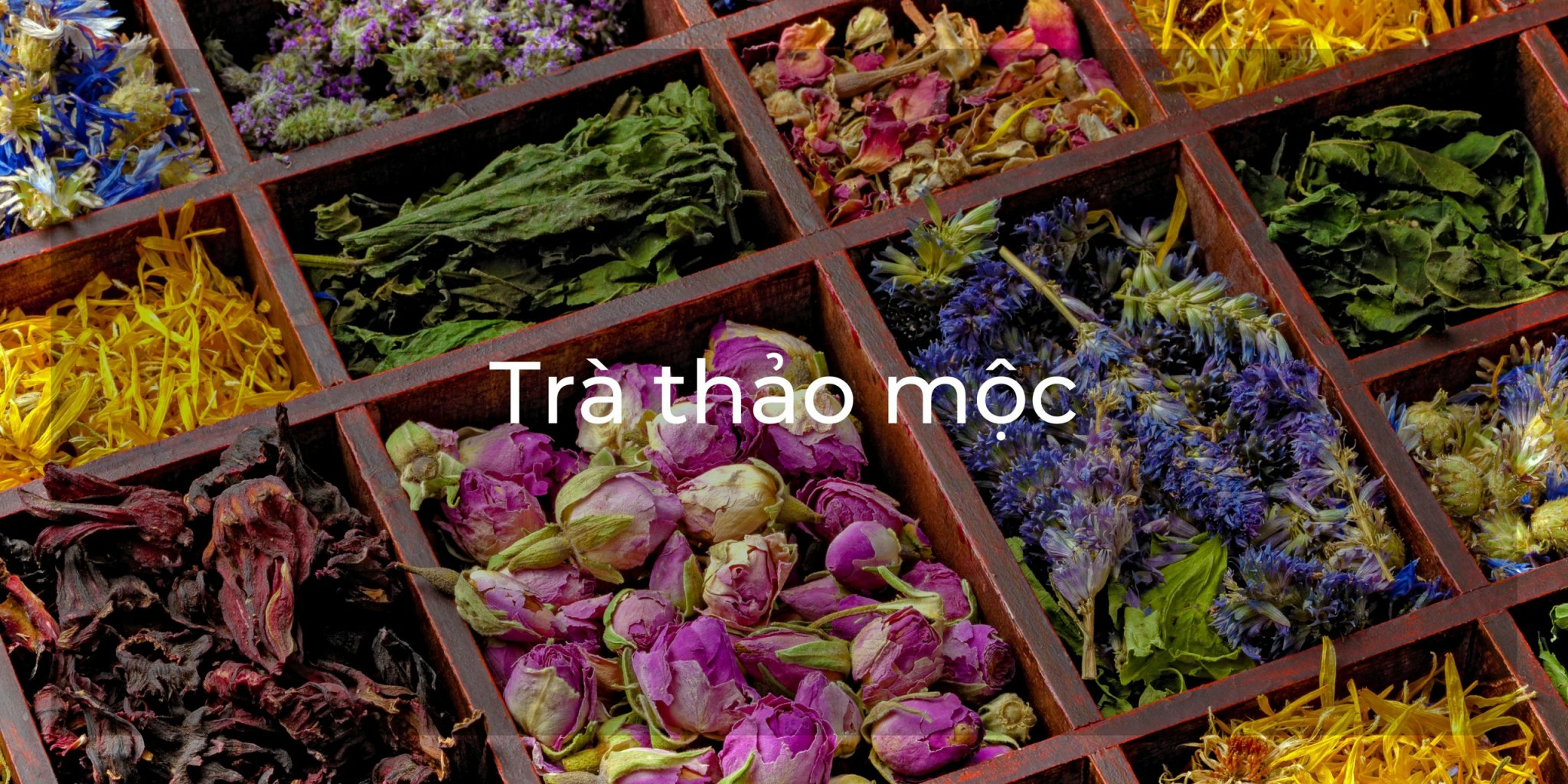 Trà thảo mộc