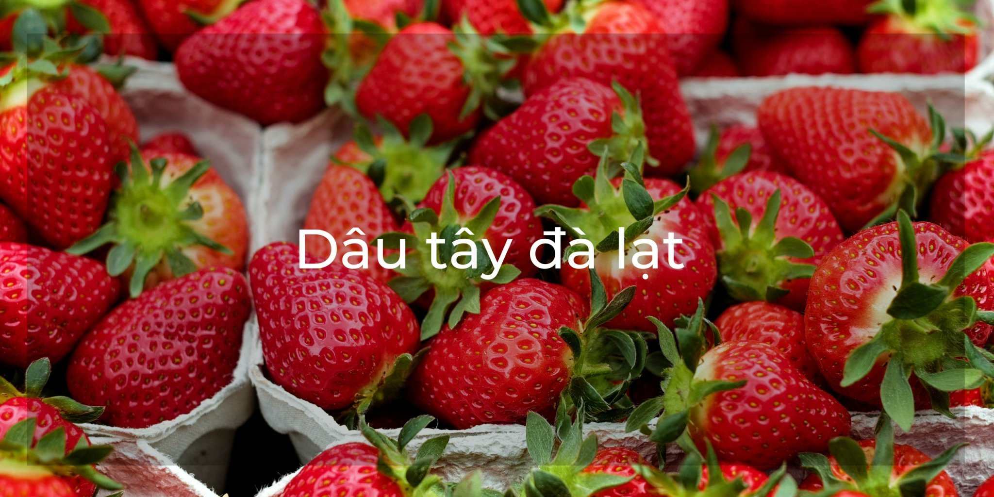 Dâu tây Đà Lạt