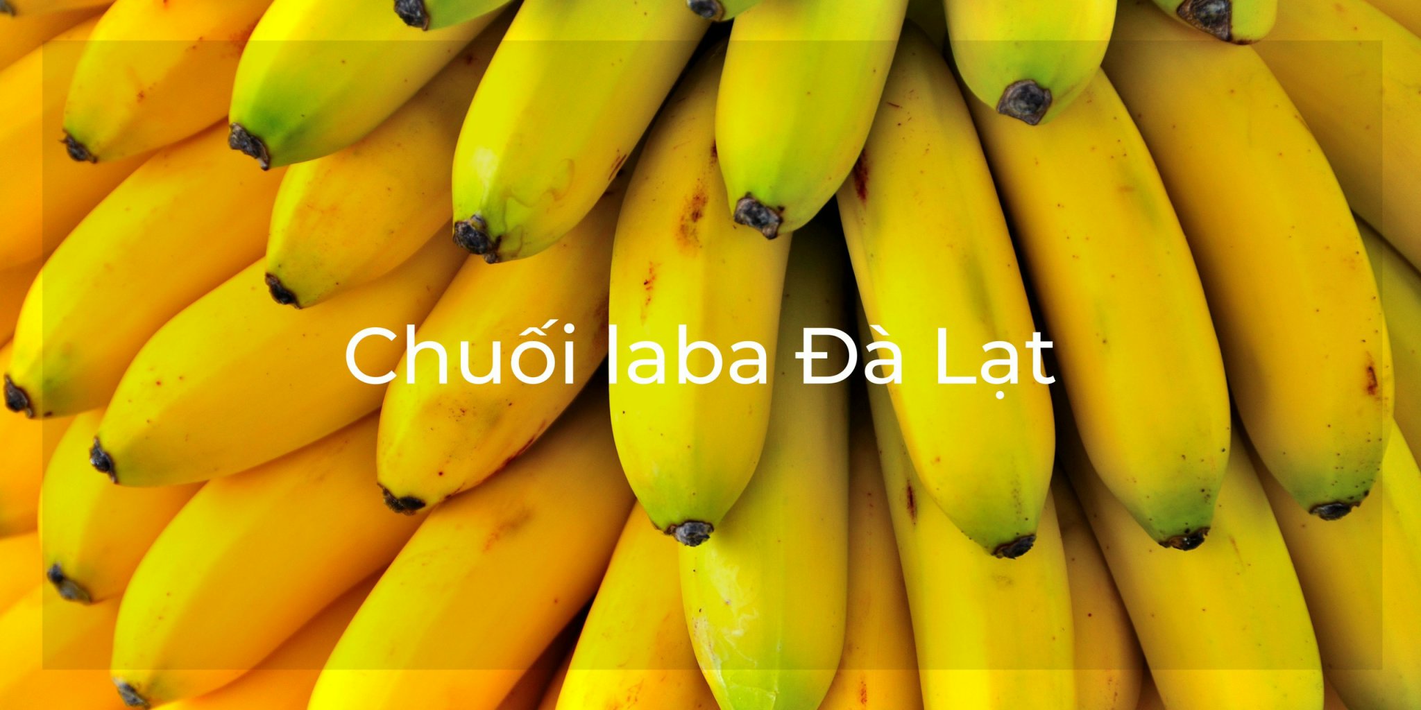 Chuối Laba Đà Lạt