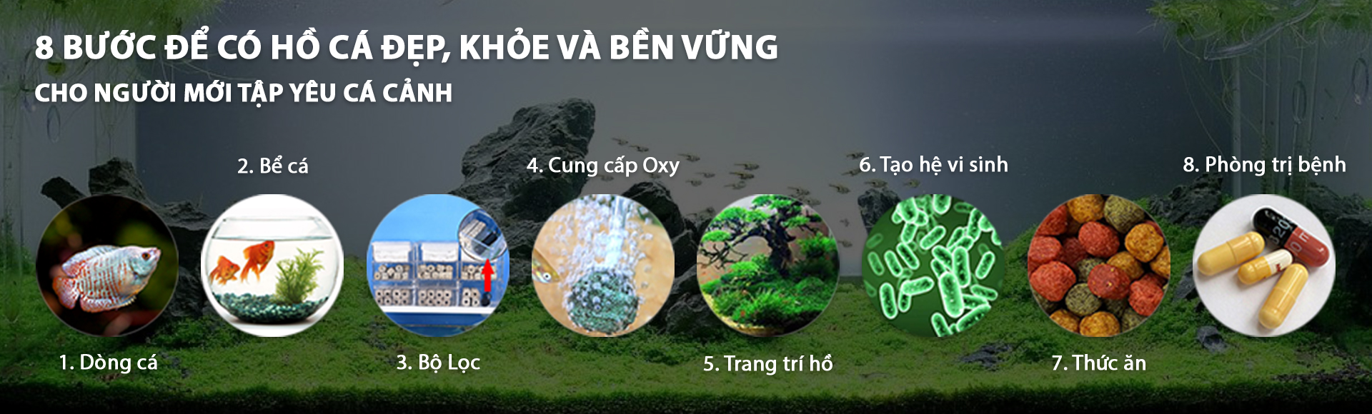 HỒ CÁ